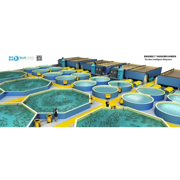 節(jié)能設施型工廠化循環(huán)水養(yǎng)殖系統(tǒng)