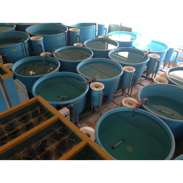 漩渦固液分離器